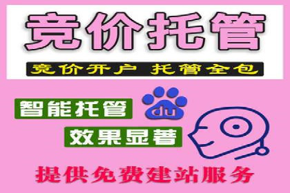 网络推广与竞价优化成功案例